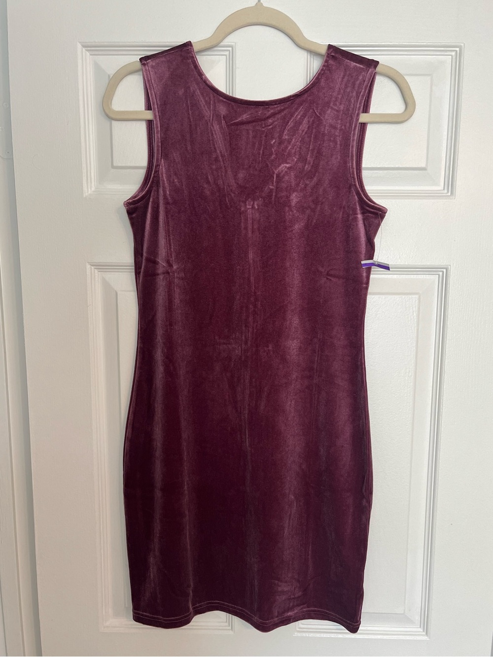 NWT Steve Madden Sleeveless Velvet Mini Dress in Plum